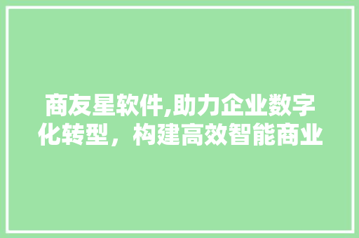 商友星软件,助力企业数字化转型，构建高效智能商业生态 百度SEO