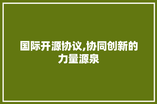 国际开源协议,协同创新的力量源泉 GoogleSEO