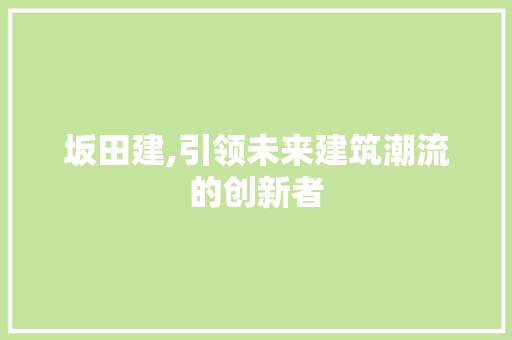 坂田建,引领未来建筑潮流的创新者 GoogleSEO