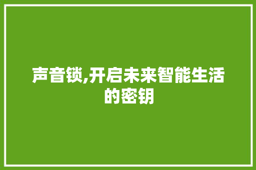 声音锁,开启未来智能生活的密钥 神马SEO