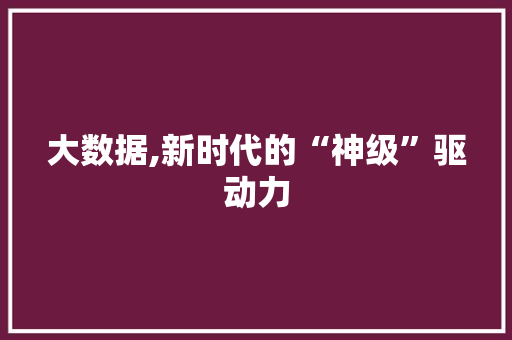 大数据,新时代的“神级”驱动力