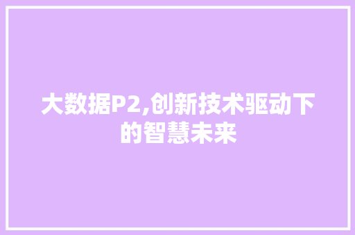 大数据P2,创新技术驱动下的智慧未来