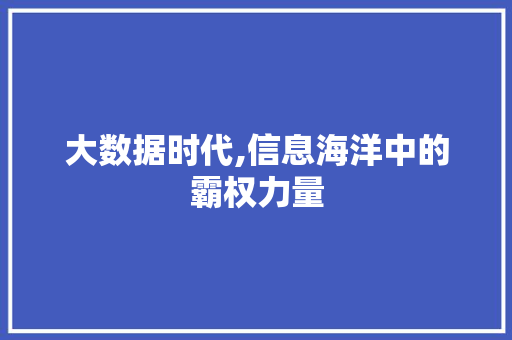 大数据时代,信息海洋中的霸权力量