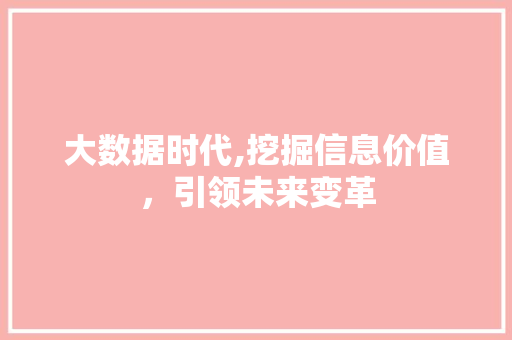 大数据时代,挖掘信息价值，引领未来变革 GoogleSEO