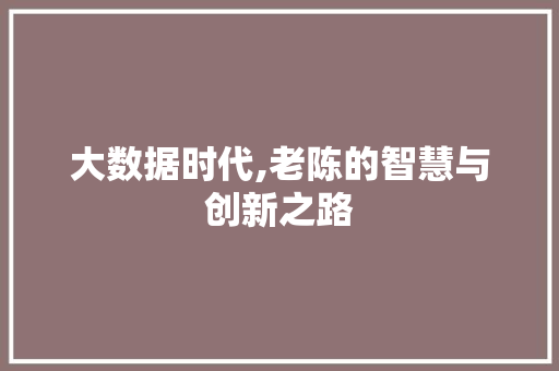 大数据时代,老陈的智慧与创新之路