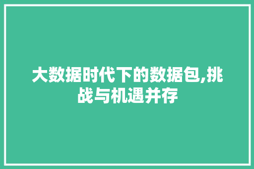 大数据时代下的数据包,挑战与机遇并存