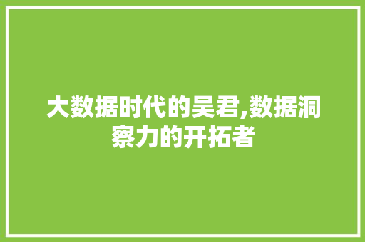 大数据时代的吴君,数据洞察力的开拓者 GoogleSEO