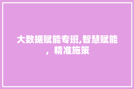 大数据赋能专班,智慧赋能，精准施策 神马SEO
