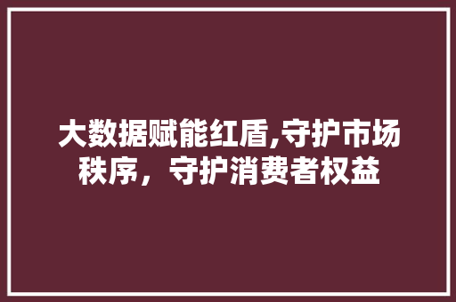 大数据赋能红盾,守护市场秩序，守护消费者权益 百度SEO
