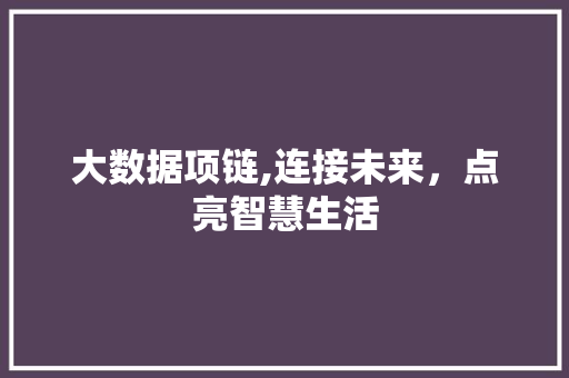 大数据项链,连接未来，点亮智慧生活 搜狗SEO