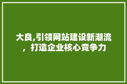大良,引领网站建设新潮流，打造企业核心竞争力 GoogleSEO