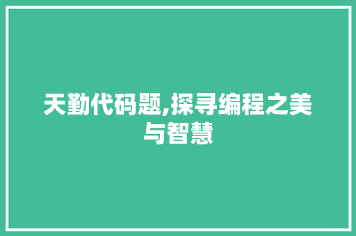 天勤代码题,探寻编程之美与智慧 神马SEO