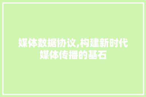 媒体数据协议,构建新时代媒体传播的基石 GoogleSEO
