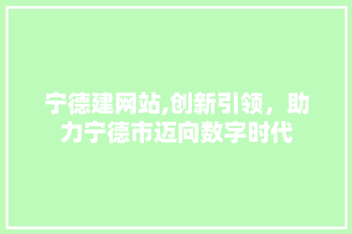 宁德建网站,创新引领，助力宁德市迈向数字时代 神马SEO