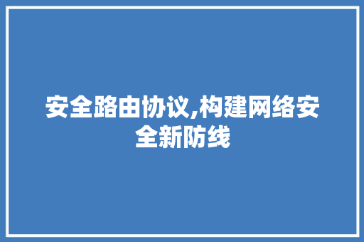 安全路由协议,构建网络安全新防线 必应SEO