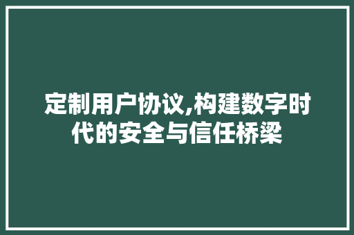 定制用户协议,构建数字时代的安全与信任桥梁 神马SEO