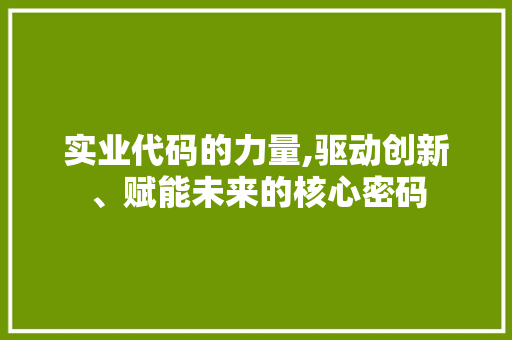 实业代码的力量,驱动创新、赋能未来的核心密码 神马SEO