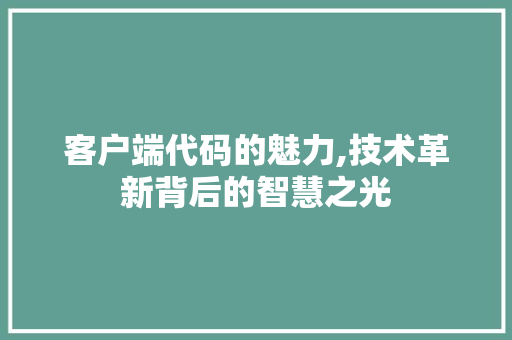 客户端代码的魅力,技术革新背后的智慧之光 百度SEO