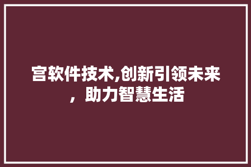 宫软件技术,创新引领未来，助力智慧生活 GoogleSEO