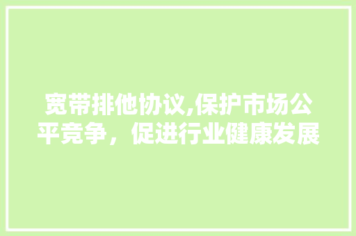 宽带排他协议,保护市场公平竞争，促进行业健康发展 百度SEO