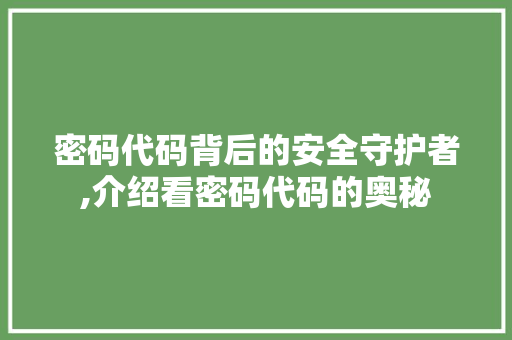 密码代码背后的安全守护者,介绍看密码代码的奥秘 百度SEO