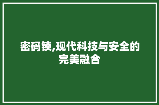 密码锁,现代科技与安全的完美融合 GoogleSEO
