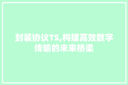 封装协议TS,构建高效数字传输的未来桥梁 百度SEO