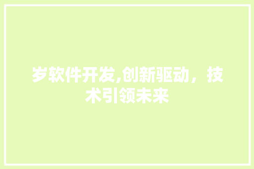 岁软件开发,创新驱动，技术引领未来 百度SEO