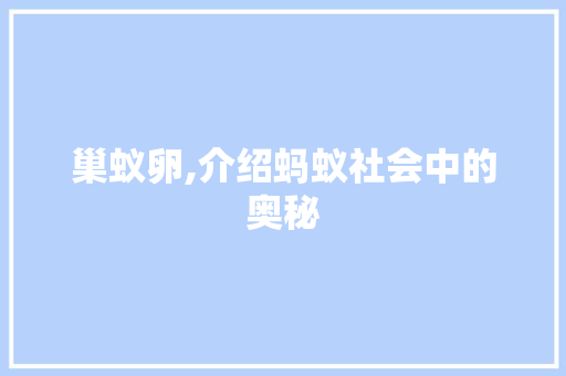 巢蚁卵,介绍蚂蚁社会中的奥秘 百度SEO
