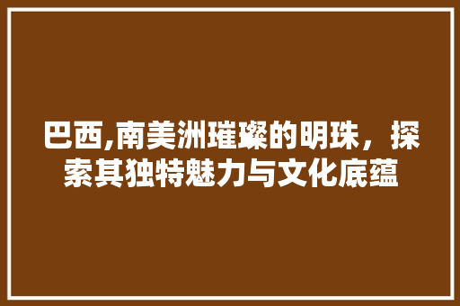 巴西,南美洲璀璨的明珠，探索其独特魅力与文化底蕴 搜狗SEO