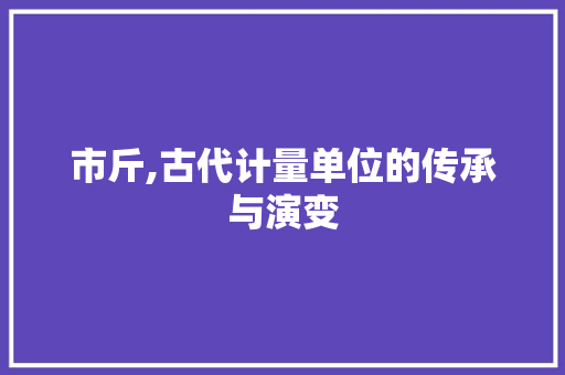 市斤,古代计量单位的传承与演变 必应SEO