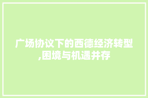 广场协议下的西德经济转型,困境与机遇并存