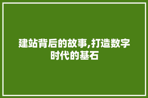 建站背后的故事,打造数字时代的基石