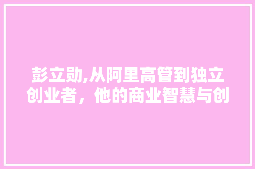 彭立勋,从阿里高管到独立创业者，他的商业智慧与创新之路 搜狗SEO