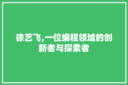 徐艺飞,一位编程领域的创新者与探索者 GoogleSEO