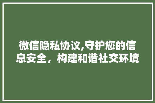 微信隐私协议,守护您的信息安全，构建和谐社交环境 必应SEO