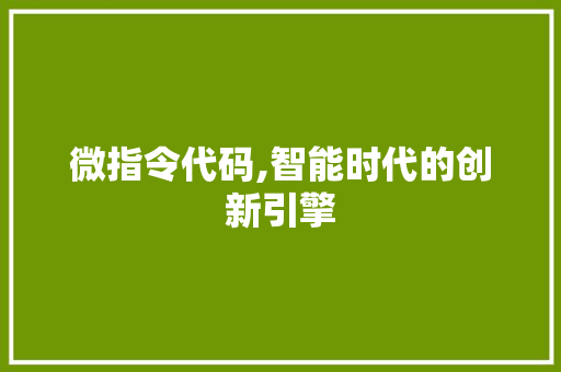微指令代码,智能时代的创新引擎 神马SEO
