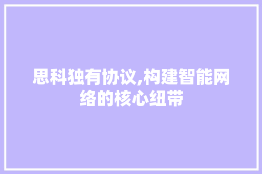 思科独有协议,构建智能网络的核心纽带 必应SEO