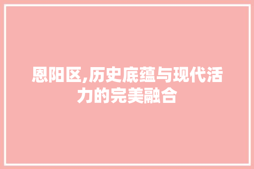 恩阳区,历史底蕴与现代活力的完美融合 神马SEO