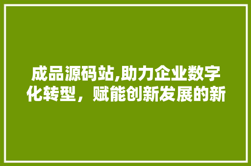 成品源码站,助力企业数字化转型，赋能创新发展的新引擎 GoogleSEO