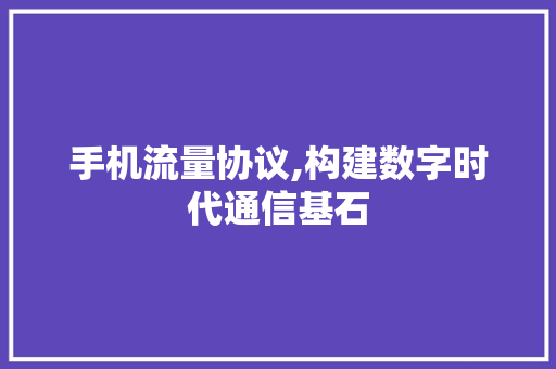 手机流量协议,构建数字时代通信基石 百度SEO