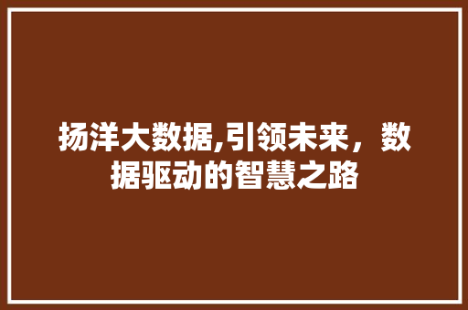 扬洋大数据,引领未来，数据驱动的智慧之路 神马SEO