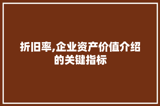 折旧率,企业资产价值介绍的关键指标 GoogleSEO