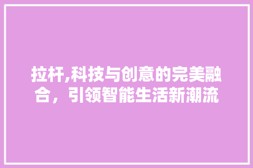拉杆,科技与创意的完美融合，引领智能生活新潮流 GoogleSEO