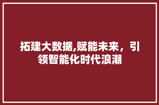 拓建大数据,赋能未来，引领智能化时代浪潮 神马SEO