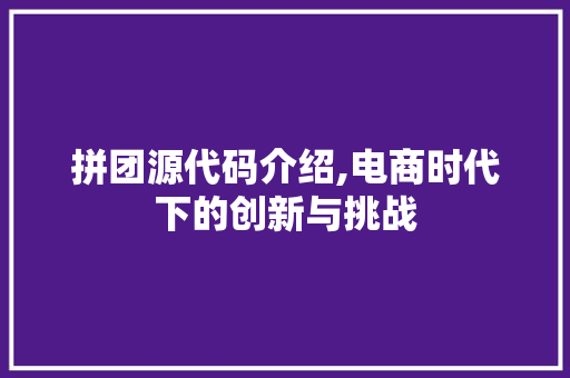 拼团源代码介绍,电商时代下的创新与挑战 百度SEO