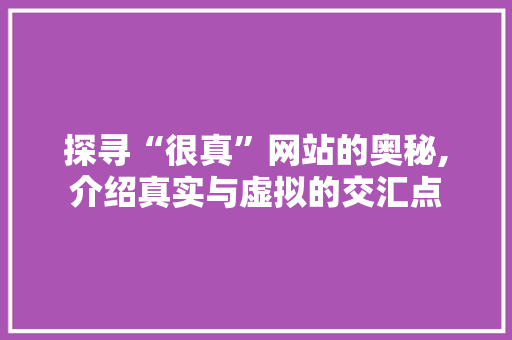 探寻“很真”网站的奥秘,介绍真实与虚拟的交汇点 神马SEO