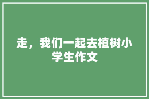 探寻双城乡代码背后的历史与文化底蕴 必应SEO