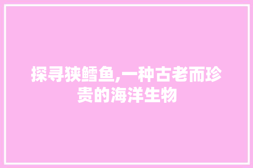 探寻狭鳕鱼,一种古老而珍贵的海洋生物 必应SEO