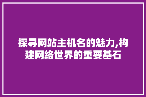 探寻网站主机名的魅力,构建网络世界的重要基石